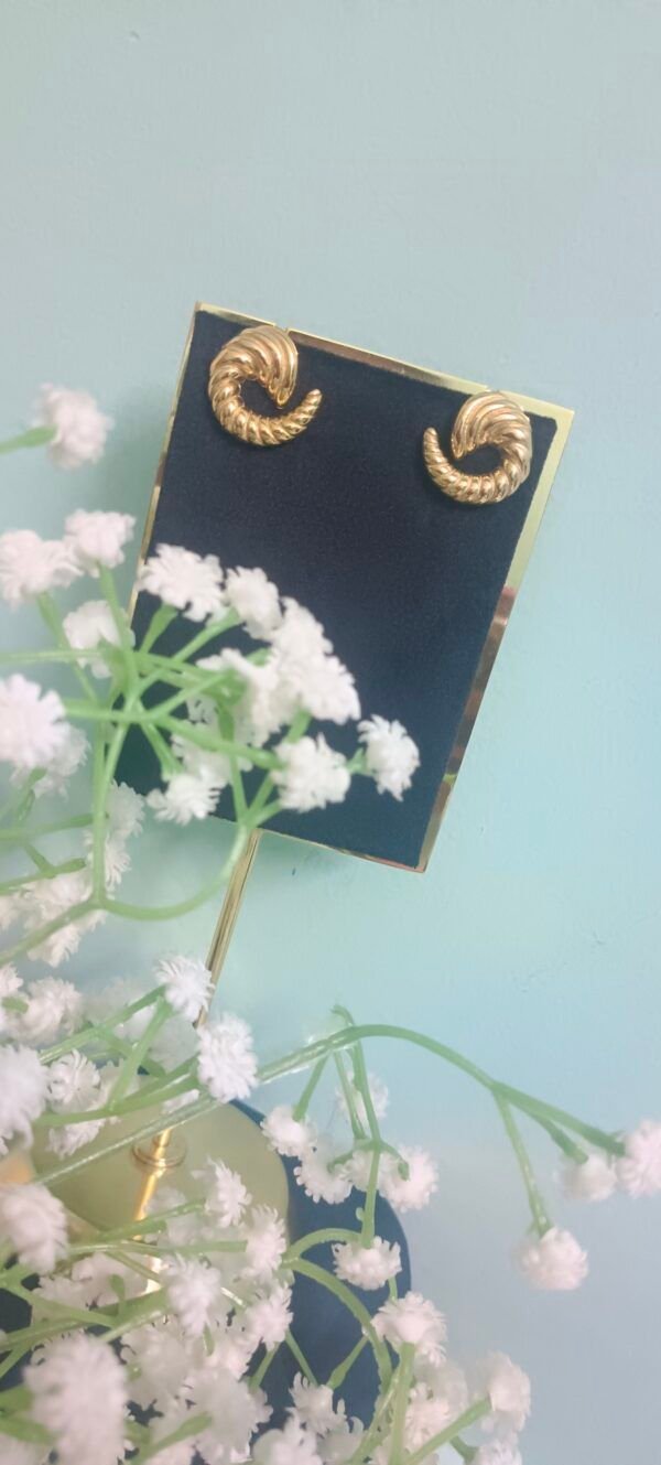 Royal 'N' Reesh 18K Gold Plated Stainless Steel Earrings - Design 8 - Image 2