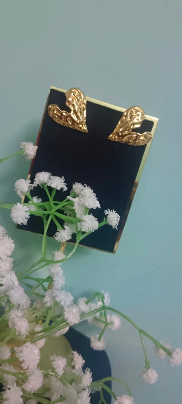 Royal 'N' Reesh 18K Gold Plated Stainless Steel Earrings - Design 12 - Image 2