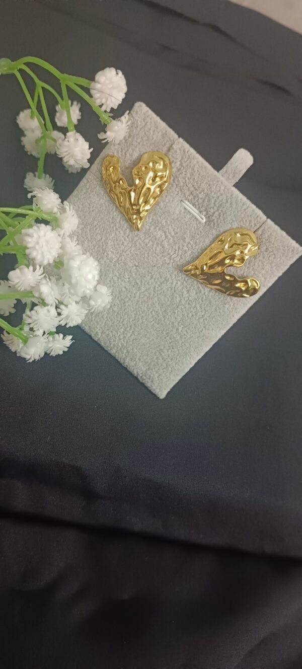Royal 'N' Reesh 18K Gold Plated Stainless Steel Earrings - Design 12 - Image 9