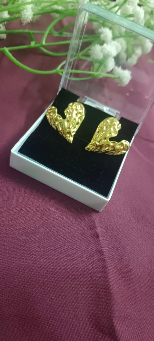 Royal 'N' Reesh 18K Gold Plated Stainless Steel Earrings - Design 12 - Image 8