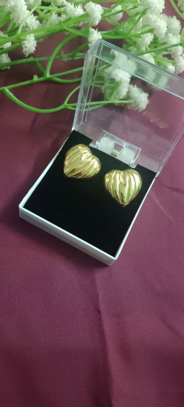 Royal 'N' Reesh18K Gold Plated Stainless Steel Earrings - Design 10 - Image 8