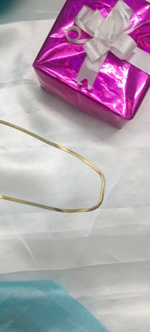 Royal 'N' Reesh 18K Gold Plated Stainless Steel Snake Chain Necklace, Gold Plated, Herringbone Style, Unisex - Image 3